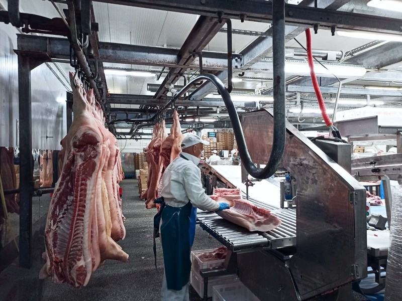 Мясоперерабатывающий комбинат Ленинградской области увеличил производительность на 31% с помощью нацпроекта