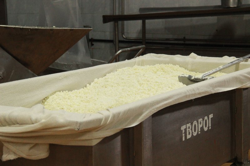Амурский молочный комбинат увеличил производство и фасовку творога в полтора раза с помощью нацпроекта