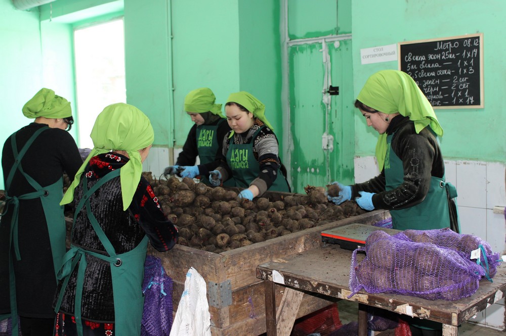 Новосибирский производитель овощей в три раза ускорил упаковку продукции с помощью нацпроекта